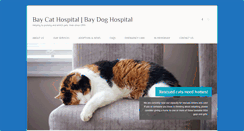 Desktop Screenshot of baycathospital.com