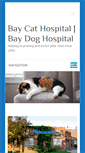 Mobile Screenshot of baycathospital.com