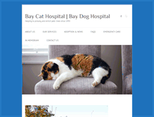 Tablet Screenshot of baycathospital.com